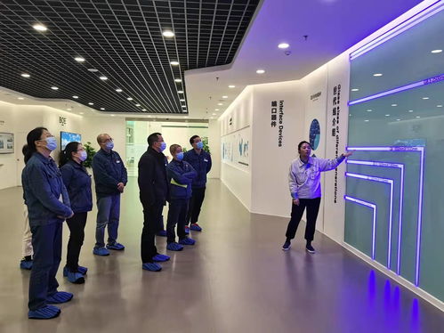 四川中煙綿陽卷煙廠與綿陽京東方光電科技公司開展黨支部聯建共創